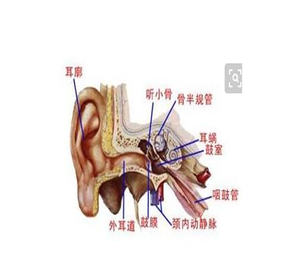 <b>怎么确诊是否是耳鼓膜穿孔</b>